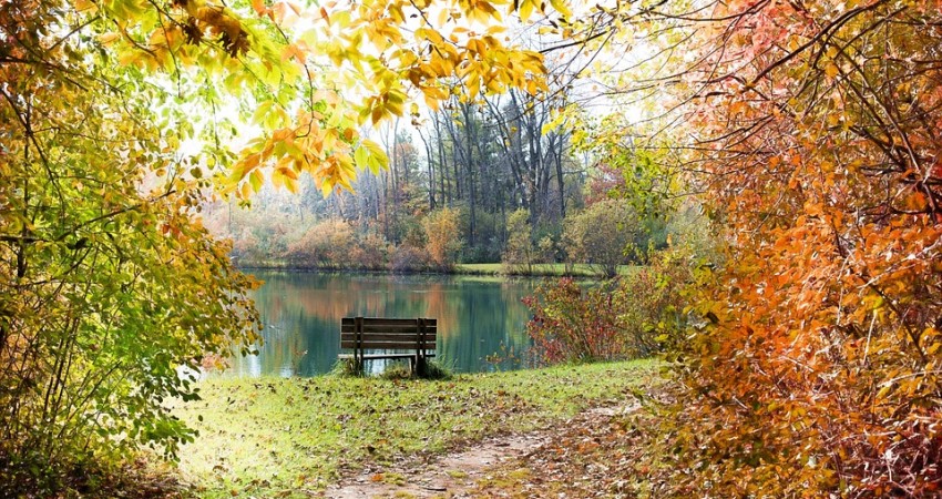 Autumn walks